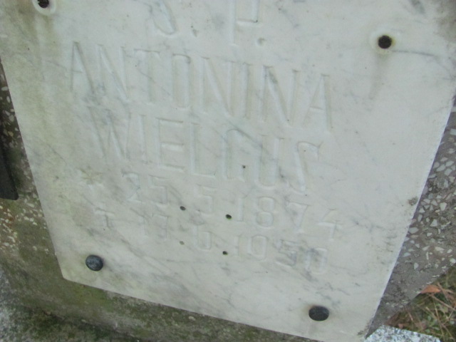 Antonina Wielgus 1874 Szczecinek - Grobonet - Wyszukiwarka osób pochowanych