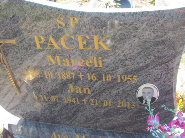 Maria Pacek 1954 Szczecinek - Grobonet - Wyszukiwarka osób pochowanych
