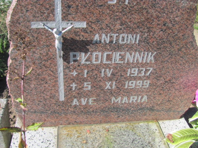 Antoni Płóciennik 1937 Szczecinek - Grobonet - Wyszukiwarka osób pochowanych