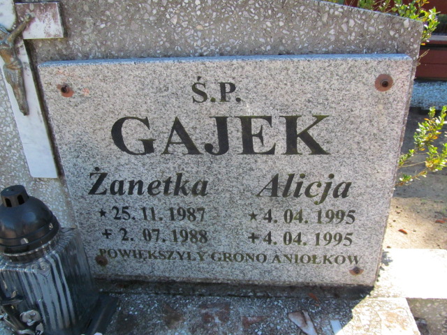Żaneta Gajek 1987 Szczecinek - Grobonet - Wyszukiwarka osób pochowanych
