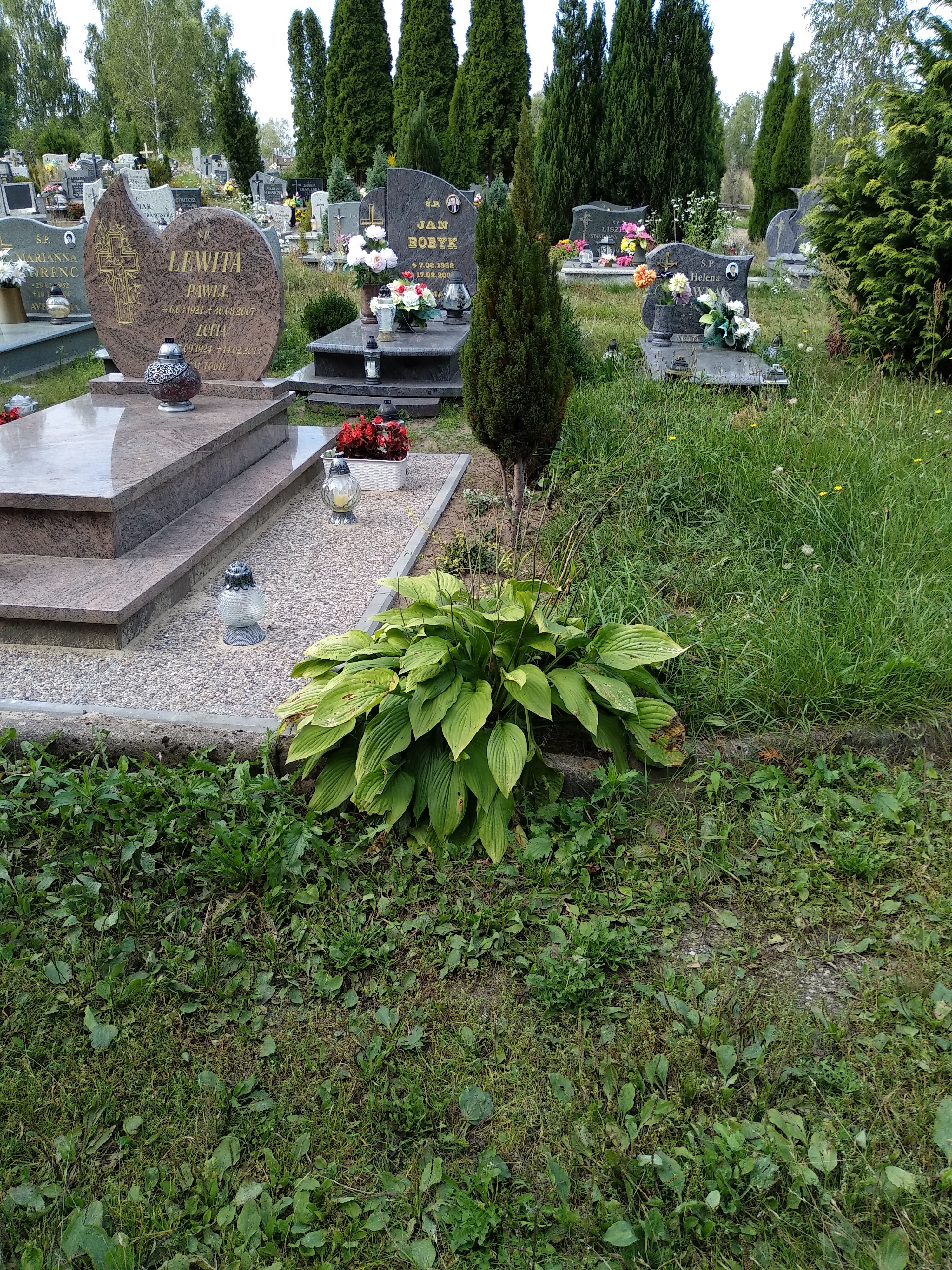 Grób Mikołaj Lewita