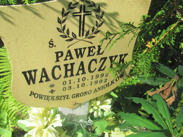 Paweł Wachaczyk 1992 Szczecinek - Grobonet - Wyszukiwarka osób pochowanych